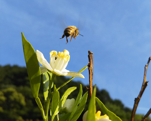 社内イベント、福利厚生、健康的