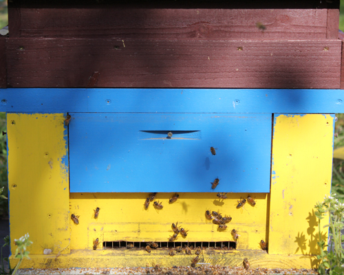 業務用はちみつ